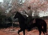 Western Movies Gunfighters 1947 (ima prevod) / Randolph Scott part 3/3