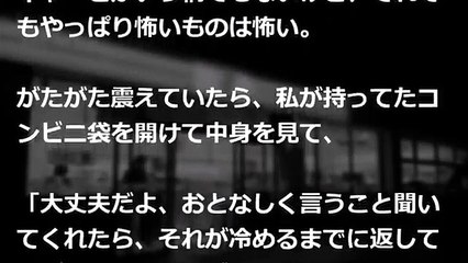 《体験談》【マジキチ】女ですが、３日間アソコにバイブを挿しっぱなしで過ごした結果・・・・・・・・・・・・・