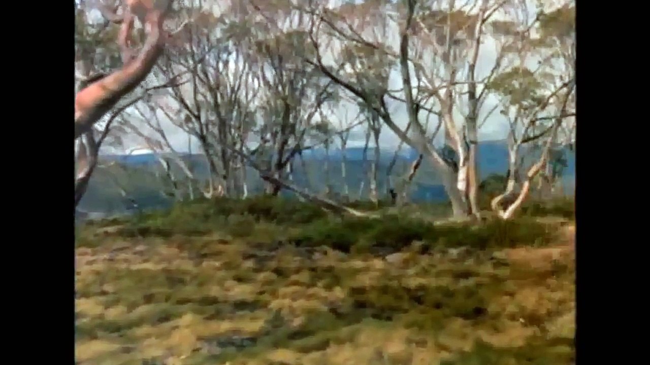The Silver Brumby 1993 (ima prevod) Russell Crowe - Family Movie part 2/3
