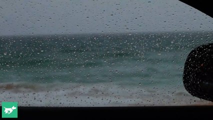 2017 Jaguar XE S Review-rG4pjwN9_JI