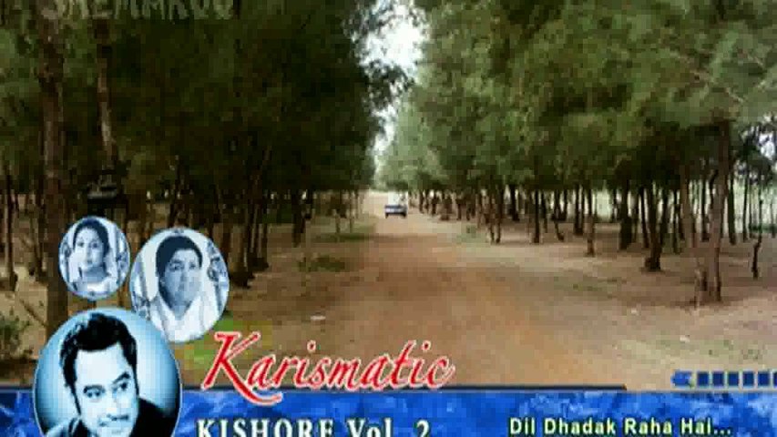 Dil Dhadak Raha Hai