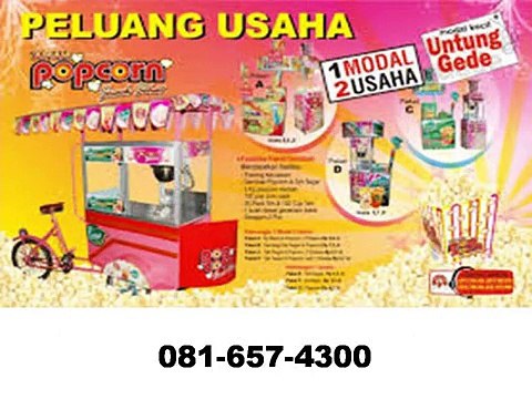 081-657-4300 [Indosat] Waralaba Minuman Lamongan