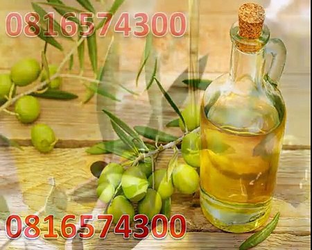 0816574300 (Indosat) Jual Minyak Zaitun Pekalongan