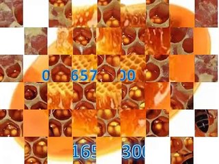 0816574300 (Indosat ) Distributor Madu Anak Tanjung Pinang