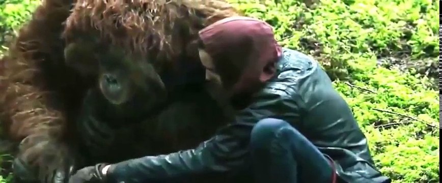 Peliculas Completas En Español Latino Peliculas De Terror De Accion 2016 part 2/2