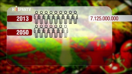 Irán Hoy - Comidas orgánicas en Irán