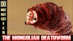 STRANGEST MYSTERIES - The Mongolian Deathworm - 1001 World's Biggest Secrets of All Time!