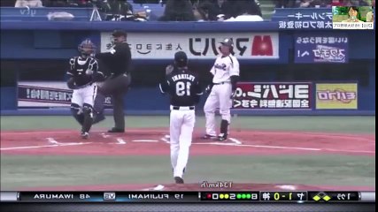 『大谷翔平選手がもし左投手だったら』【プロ野球・反転ピッチング集#1】＿2016年12月11日