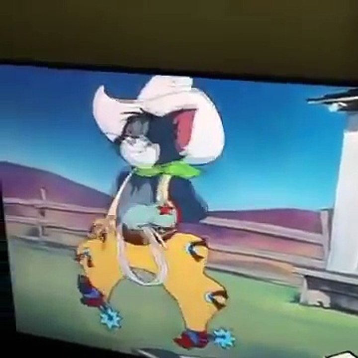 Tom and jerry ( Toms game is so cold )