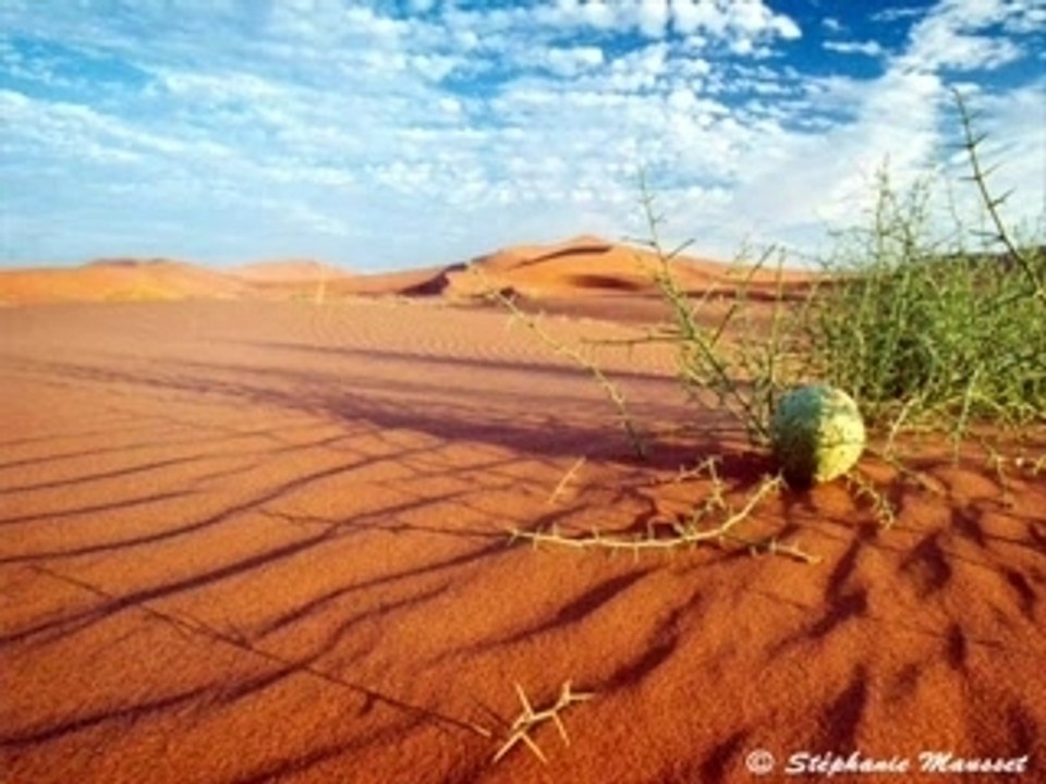 La paix dans le  desert