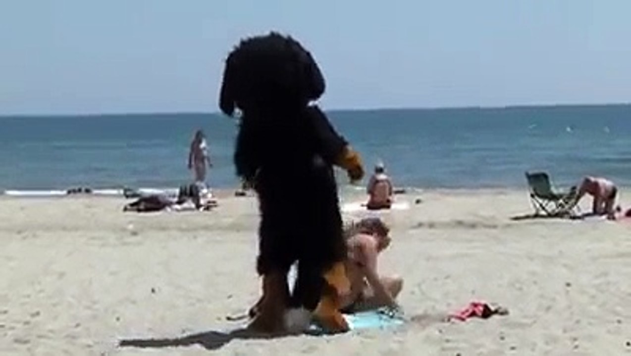 This Guy In A Dog Suit Pulls Funny Pranks instagram @dante.kramer
