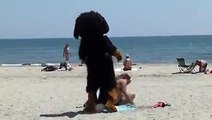 This Guy In A Dog Suit Pulls Funny Pranks instagram @dante.kramer