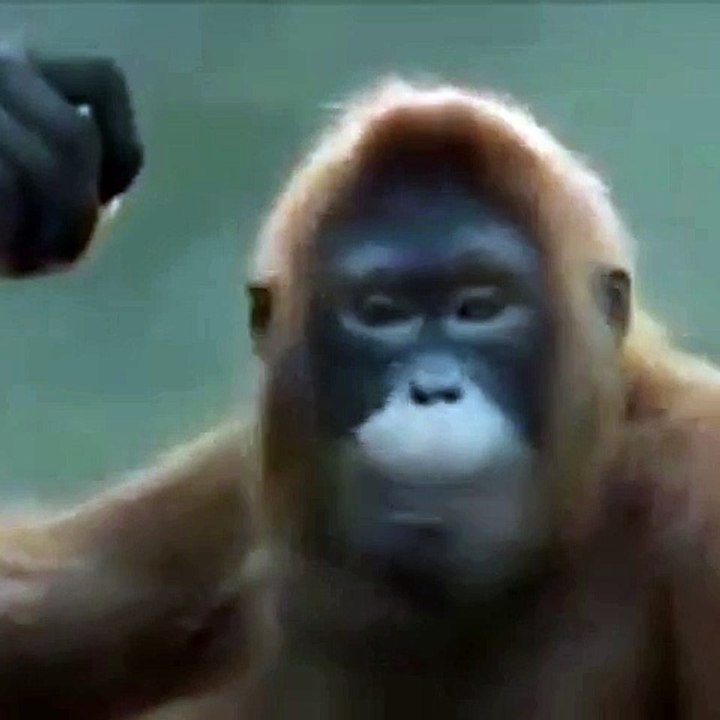 Wochenende. Fine settimana