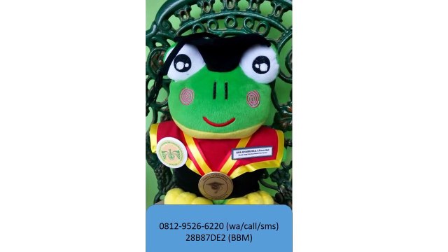 0812-9526-6220 - Boneka wisuda Tarakan - Grosir Boneka wisuda - Pusat boneka wisuda