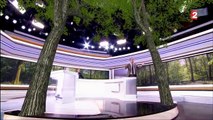 Le plateau du 20h de France 2 se transforme en forêt virtuelle !