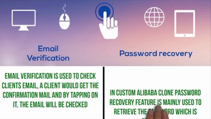 Common key features for custom alibaba clone