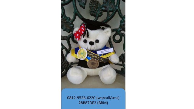 0812-9526-6220 - Boneka wisuda Gorontalo - Grosir Boneka wisuda - Pusat boneka wisuda