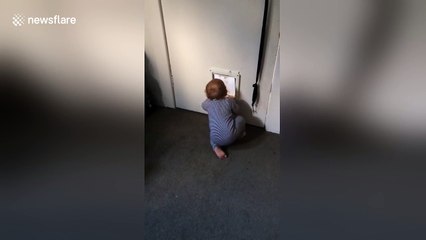 Baby uses cat flap to go outside