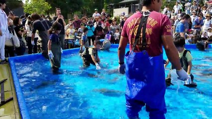 2016 grasp salmon highest first challenge kids japan hokkaido