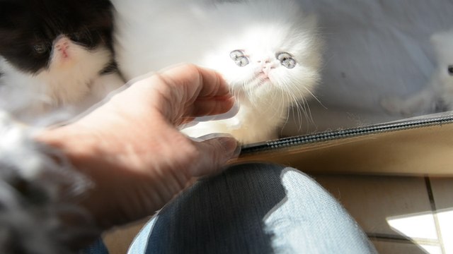 mes bébé 1 mois et demi