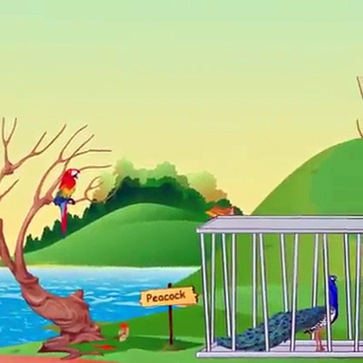 A Crow Story