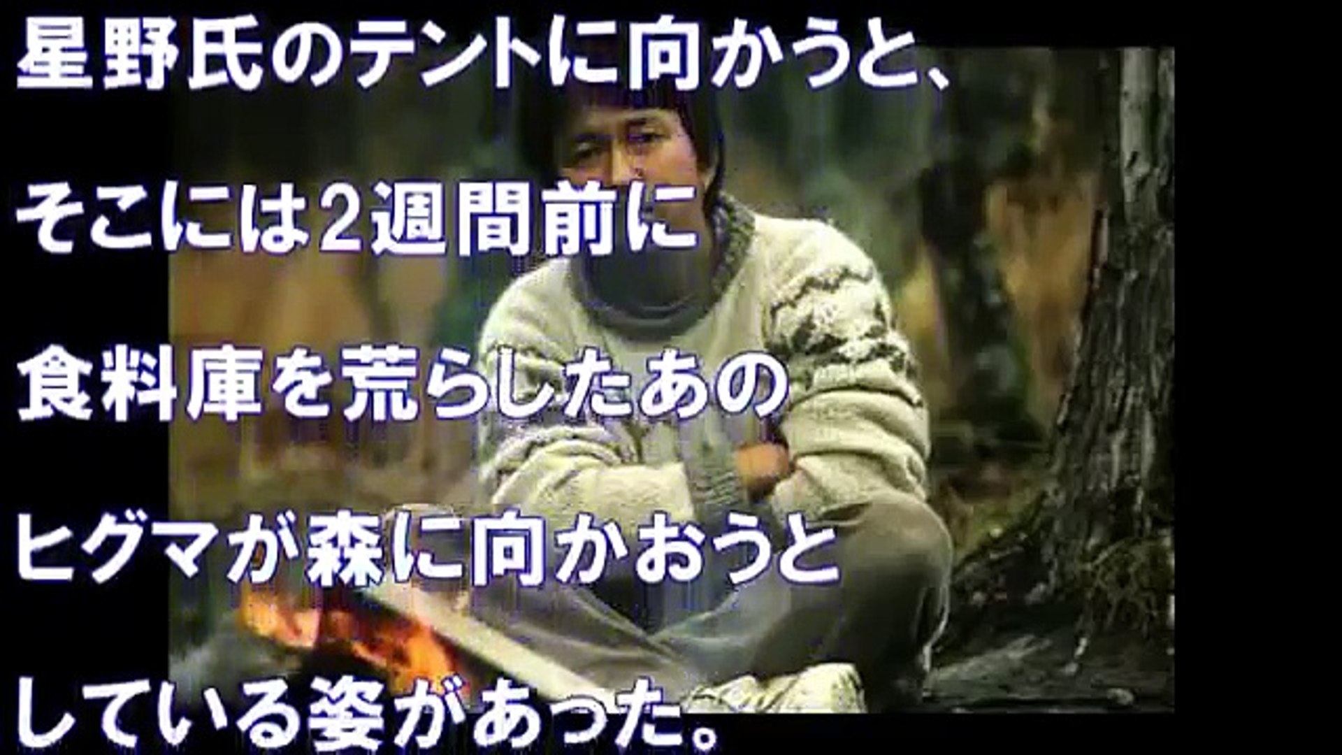 衝撃 どうぶつ奇想天外 で熊に食い殺された ゾッとするテレビ事件の真相がヤバイ 画像あり Video Dailymotion