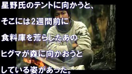 【衝撃】『どうぶつ奇想天外』で熊に食い殺された！？・・・ゾッとするテレビ事件の真相がヤバイ【画像あり】