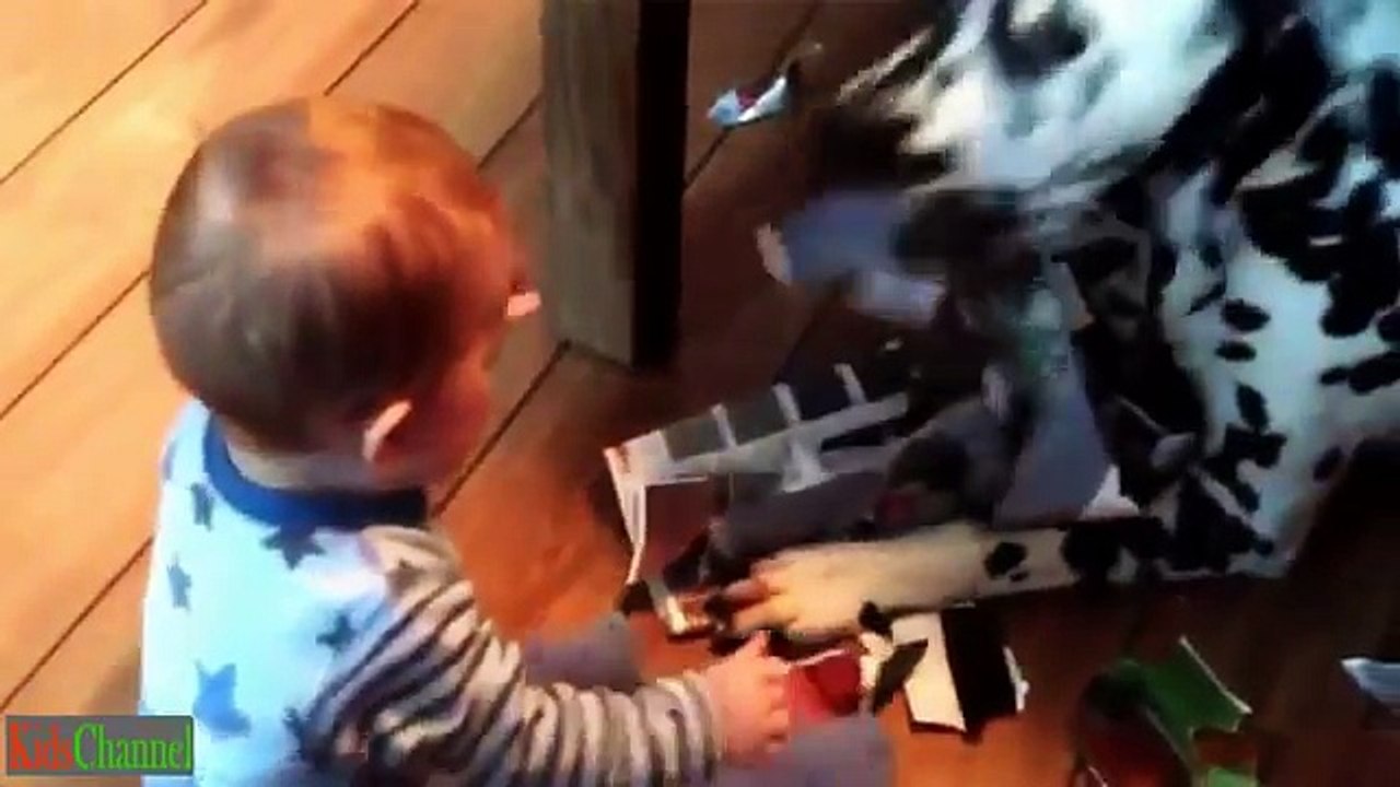 Cute Babies Laughing Hysterically at Dogs ★ Funny Kids Videos Compilation 