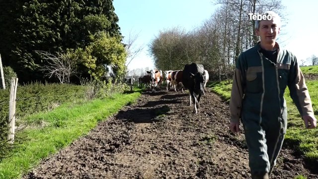 Centre-Bretagne. Laitik, une réponse à la crise laitière ?