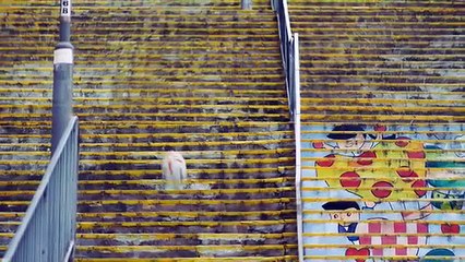 La bande-annonce du Hong Kong 7s 2017