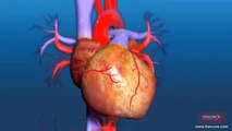 What is the Process of Aortic Valve Replacement Surgery? | SurgeryLog
