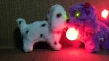 Puppies Barking Puppies Eyes Light Animal Toys-jj7cfPJD8SM