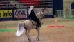 Arabian Horse Dance-2017
