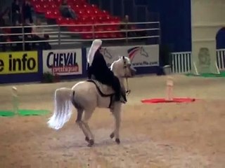 Arabian Horse Dance-2017