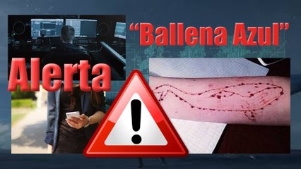 Alerta jóvenes en México: el reto de la "#BallenaAzul" #BlueWhaleChallenge