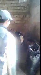 ههههه حب يشدو بالسيف