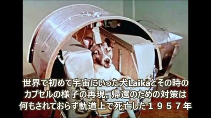 【閲覧注意】世界の歴史的瞬間を捉えた写真　衝撃写真にある意味世界が震えた【感動】