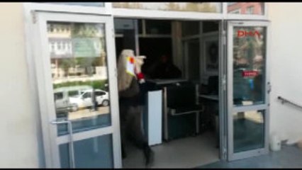 Adana Kozan'daki Katliamın Nedeni 'Gizli Aşk' Iddiası