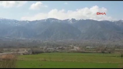 Sivas Köydeki Cinayette 'Referandum Tartışması' Iddiası