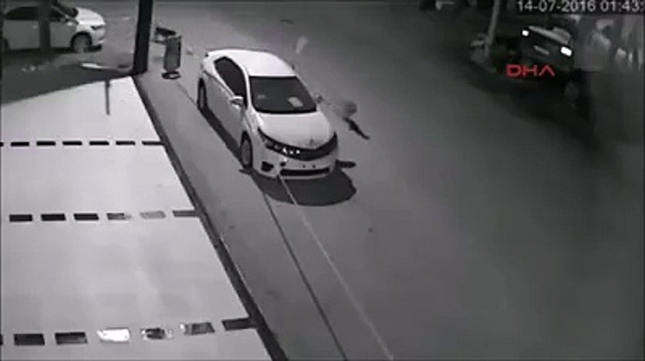 Lahore - dogs demolished car