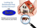 Residential Pest Control Service Shanty Bay ON