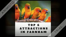 Top 6 Attractions in Farnham