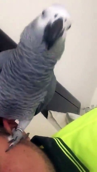 Abdul, get up and take a shower - Exploring Beauty