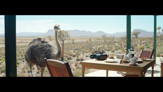 Pub Samsung - L'autruche et le masque de réalité virtuelle