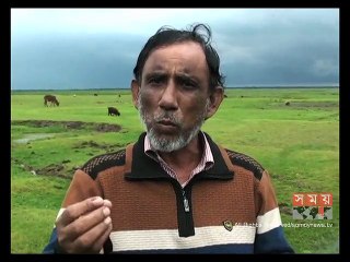 টানা বৃষ্টিতে ক্ষতিগ্রস্ত সুনামগঞ্জের হাওরাঞ্চলের বোরো আবাদ