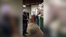 Ce cheval adore cet air de musique !