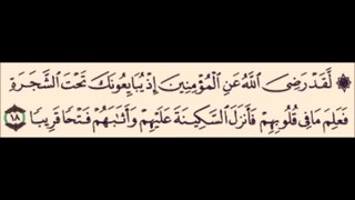 لم يبين مقدم قناة وصال و هو يستشهد باية الرضوان  عن اي شئ بايعوا الرسول صلوات الله عليه و اله لانه لو بين فهي فضيحة لابي بكر و عمر و عثمان و لم يبين ما هي عقوبة ناكث البيعة