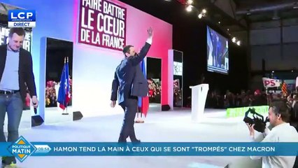 Sandrine Mazetier - Politique Matin du 31 mars 2017 - LCP