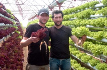 Sebze Yetiştiricisi Kardeşler, Katlı Sistemle Hasatlarını 3'e Katladı