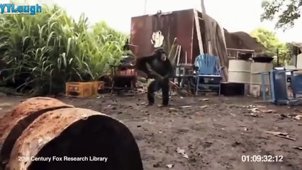 Funny videos 2016  Stupid people doing stupid things